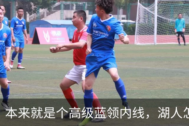 本来就是个高级蓝领内线，湖人怎么能指望他做到面面俱到？